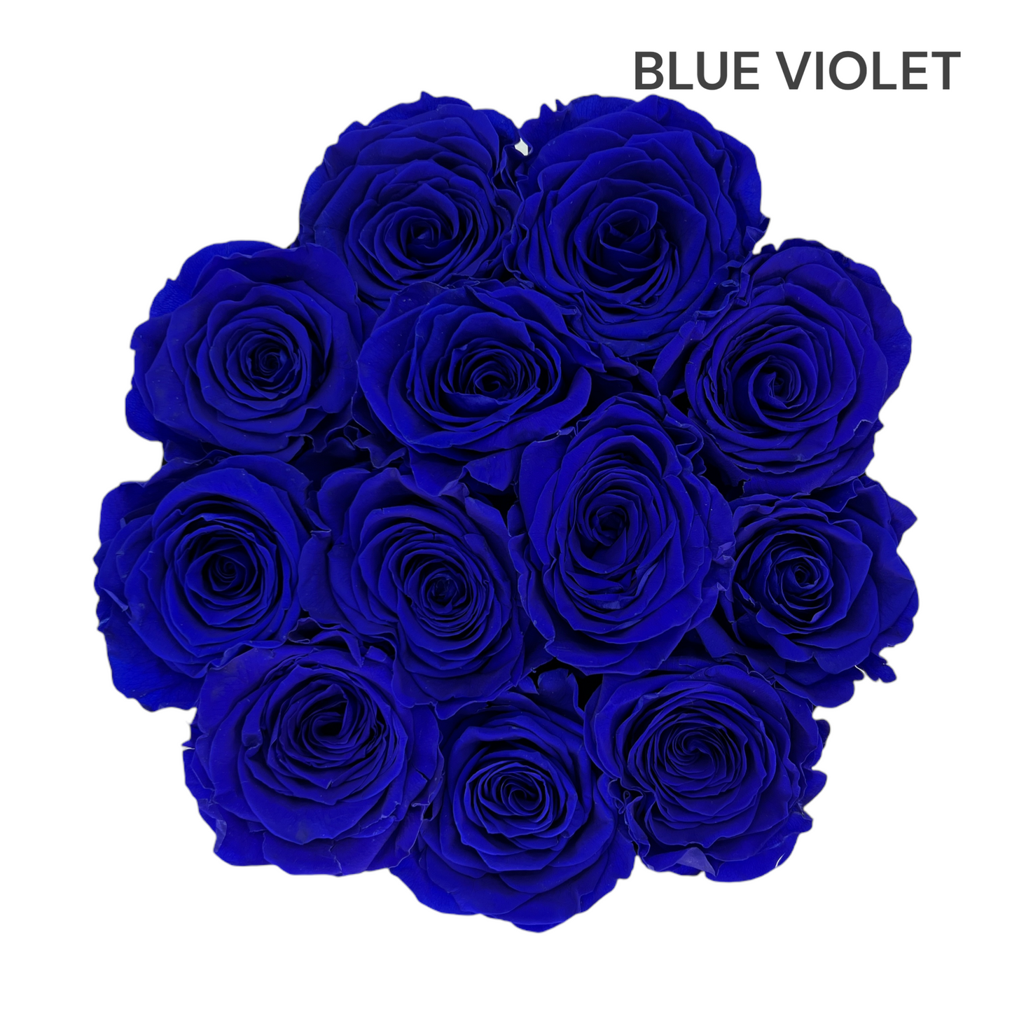 Velvet Round Rose Box Collection | Large