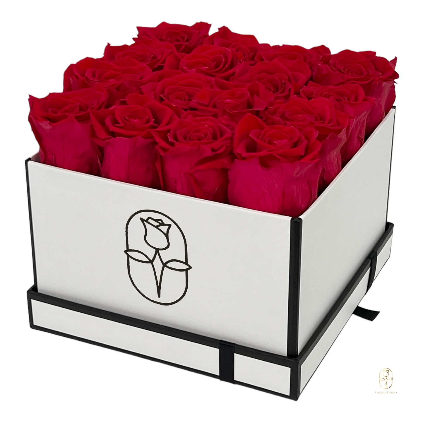 Classic Square Box Eternal Rose Collection II | 16