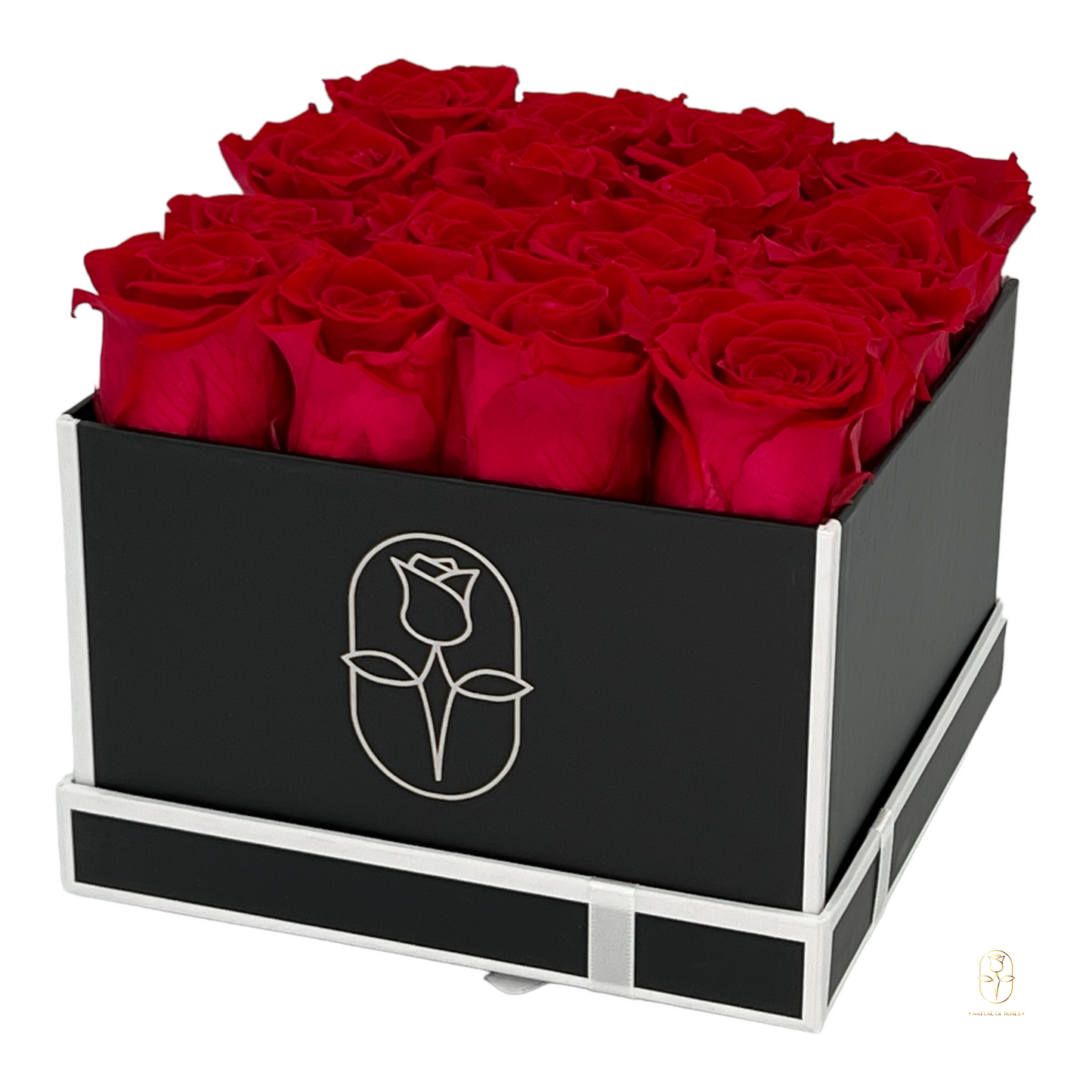 Classic Square Box Eternal Rose Collection II | 16