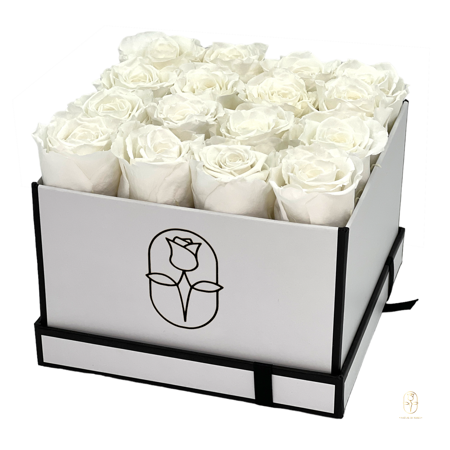 Classic Square Box Eternal Rose Collection II | 16