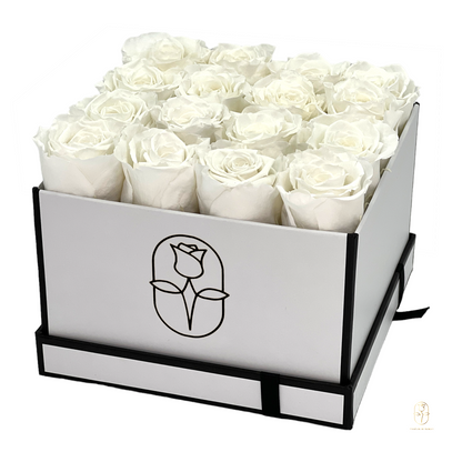 Classic Square Box Eternal Rose Collection II | 16