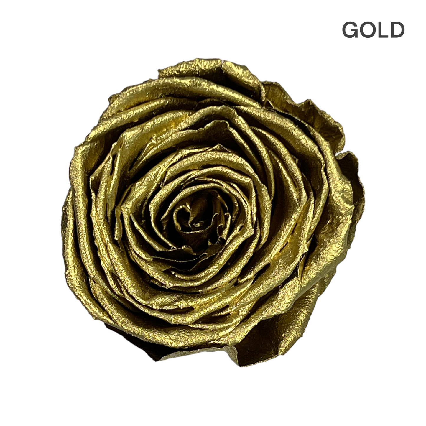 Classic Round Box Rose Collection | 20-27 Roses