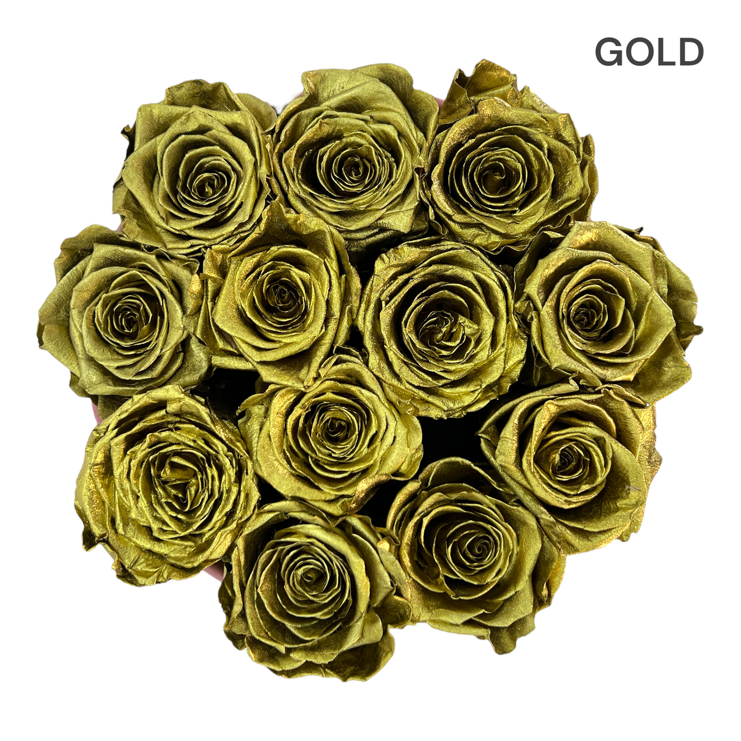 Velvet Round Rose Box Collection | Large