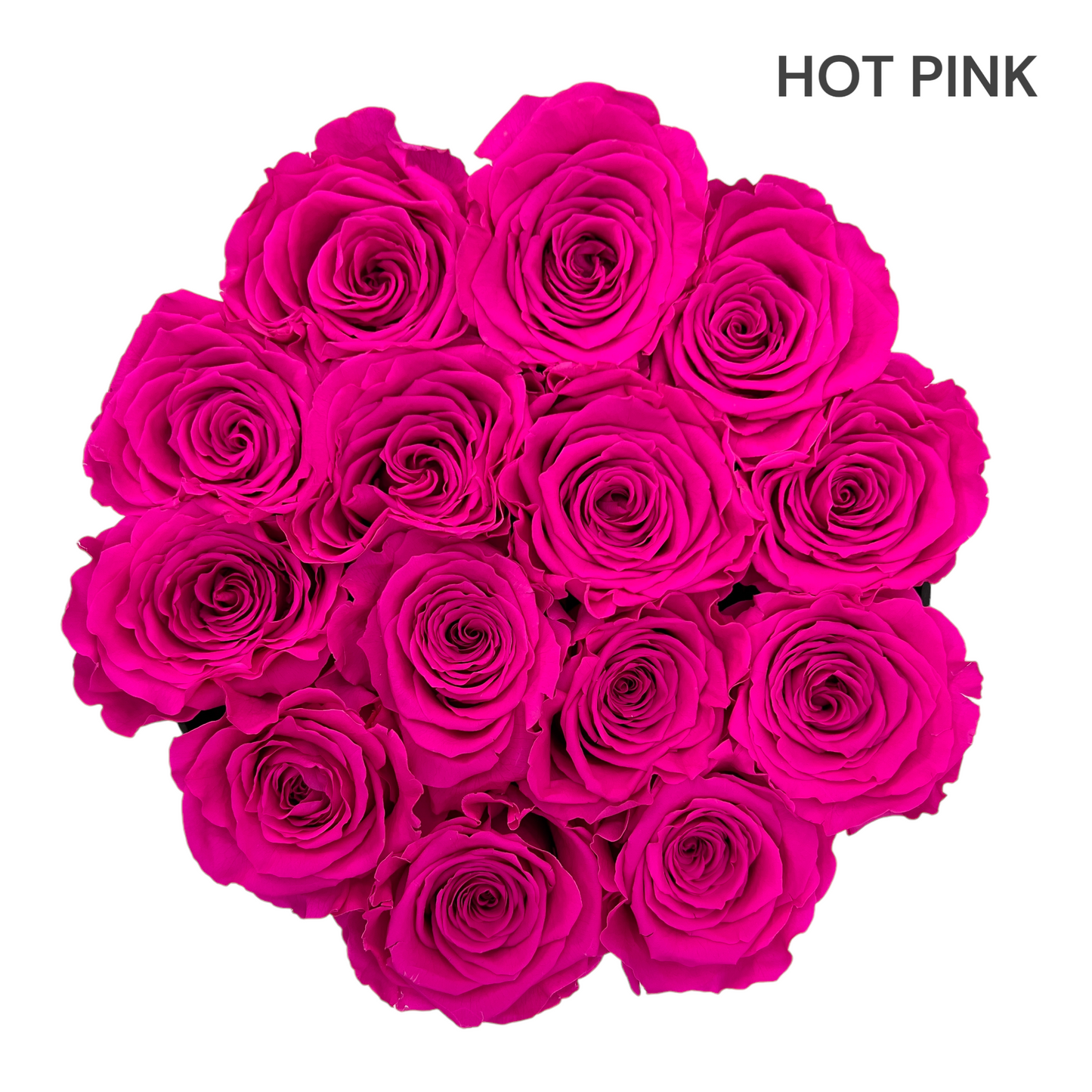 Velvet Round Rose Box Collection | Large