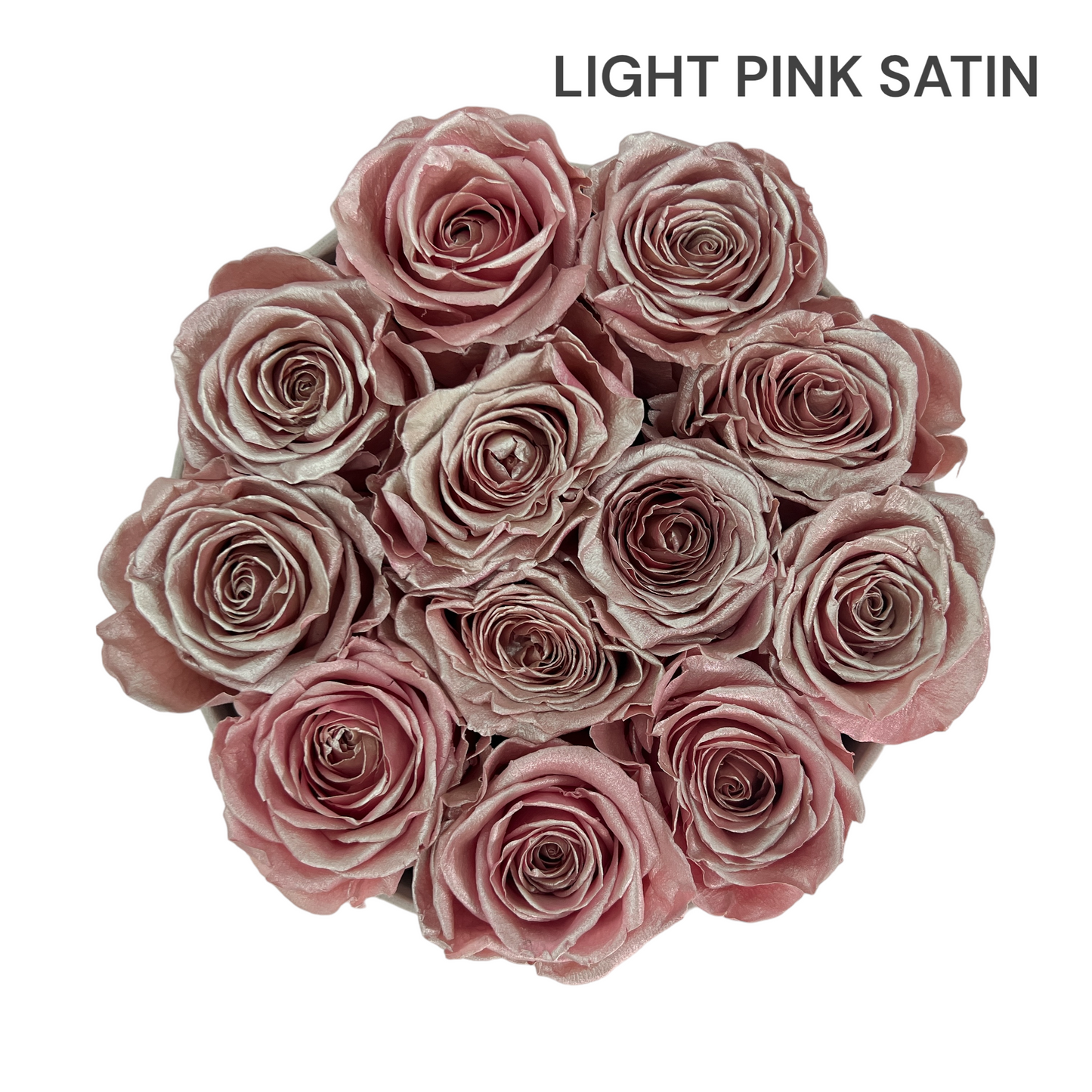 Velvet Round Rose Box Collection | Large