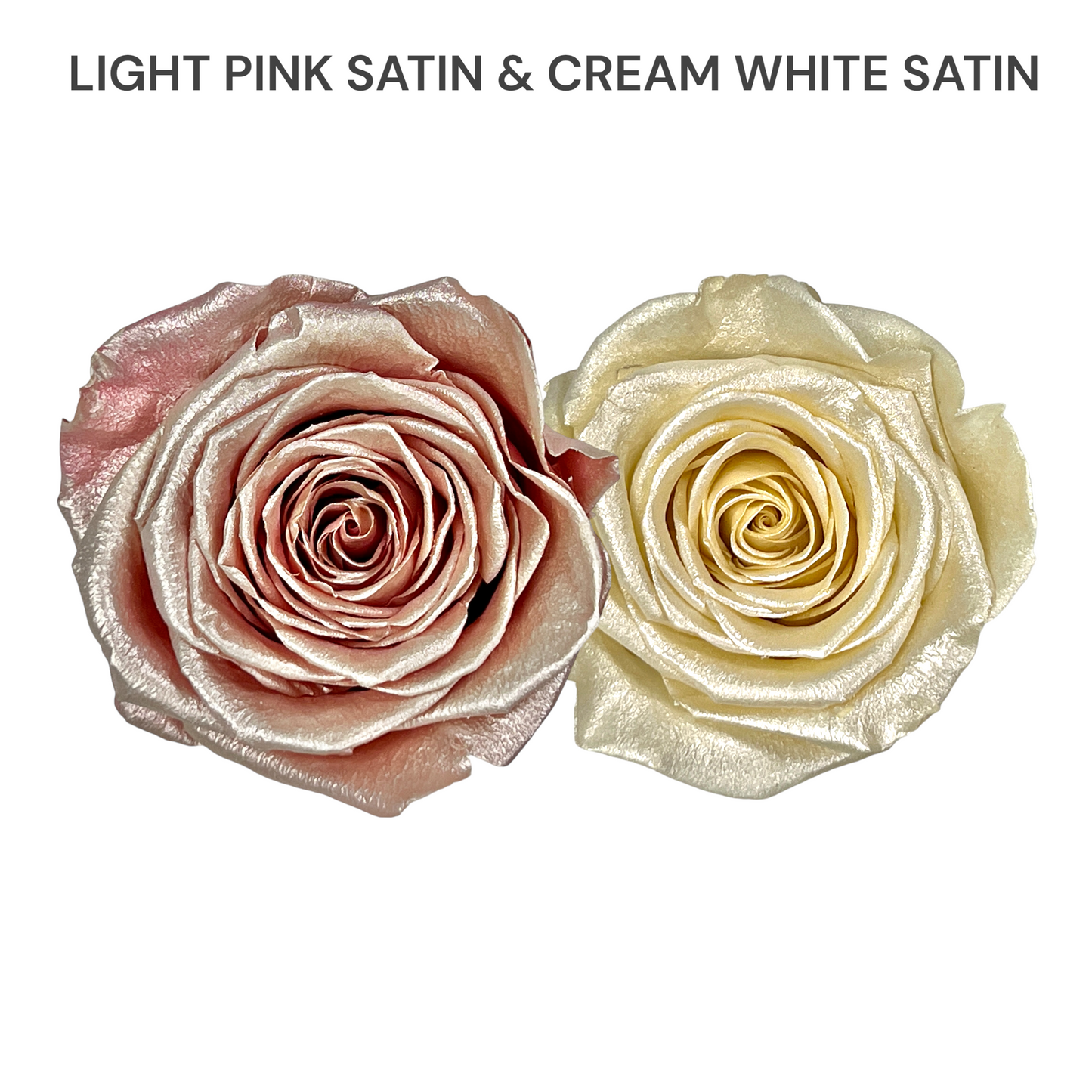 Velvet Square Rose Box Collection | 16