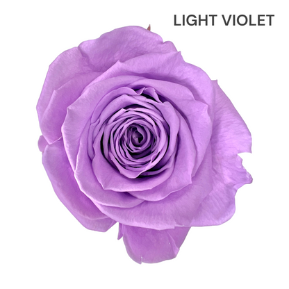 Velvet Heart Rose Box Collection | Medium