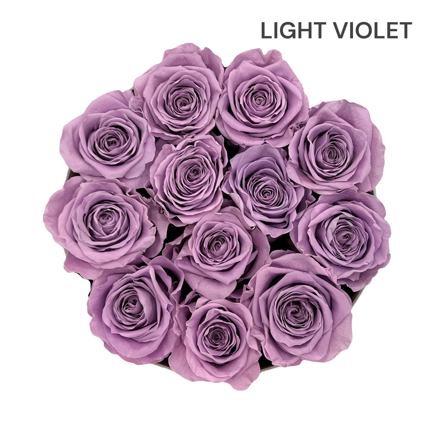 Velvet Round Rose Box Collection | Large