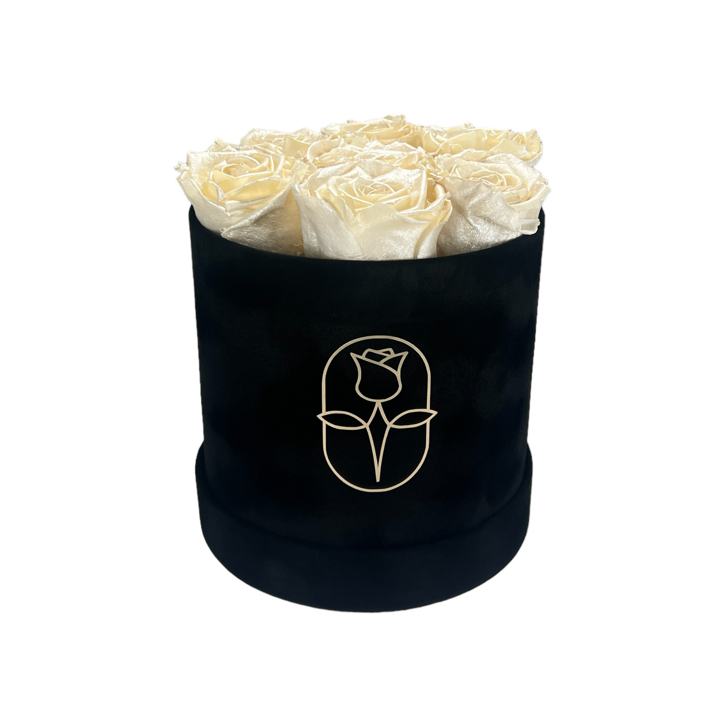 Velvet Round Eternal Rose Box Collection | Small