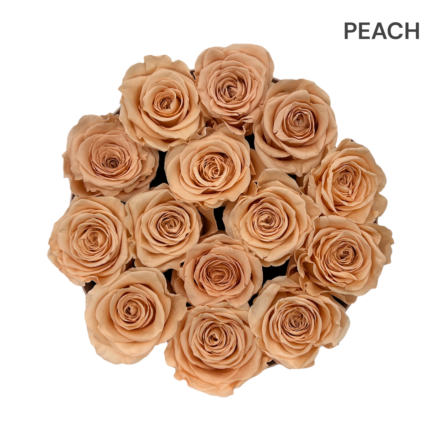 Velvet Round Rose Box Collection | Large
