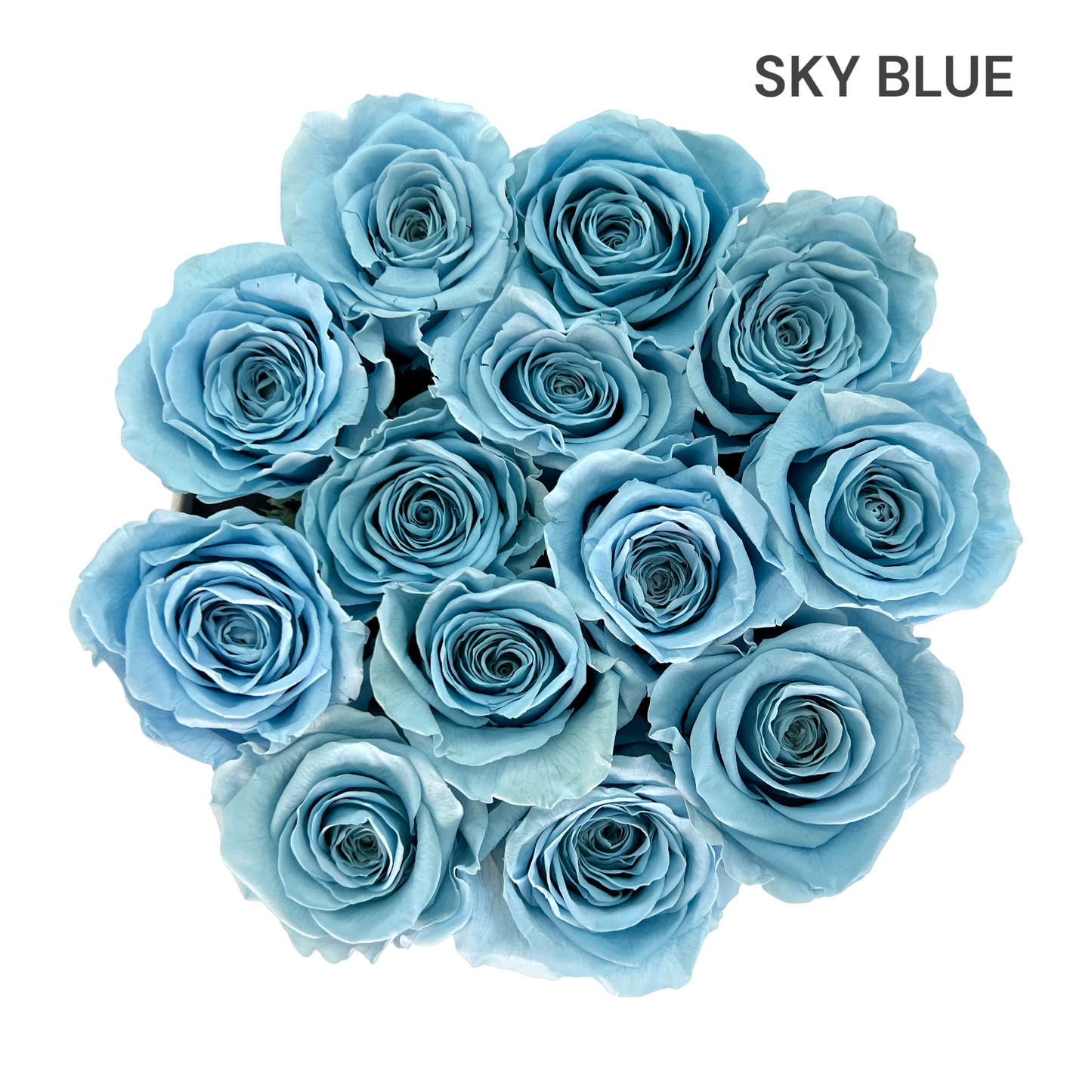 Velvet Round Rose Box Collection | Large