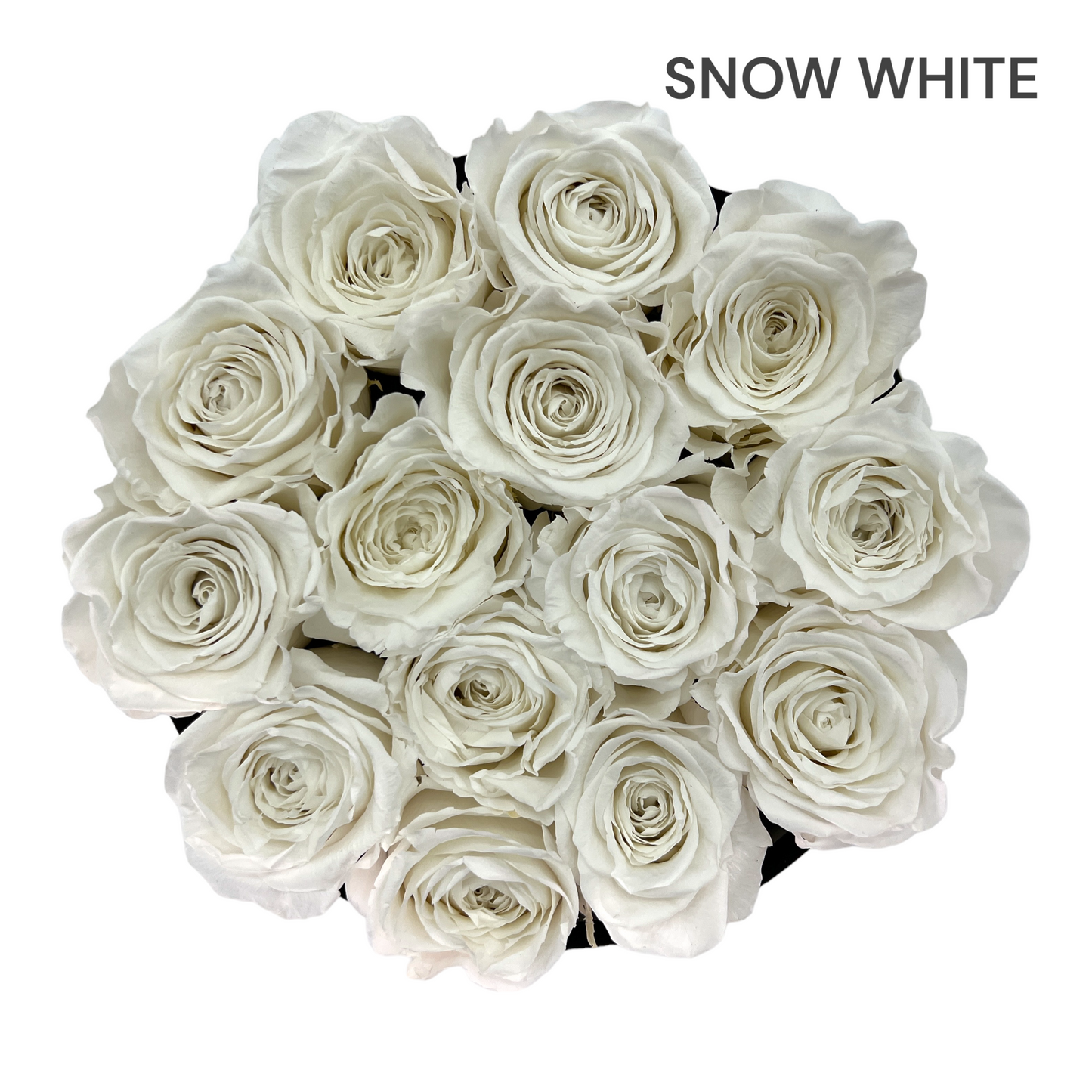 Velvet Round Rose Box Collection | Large