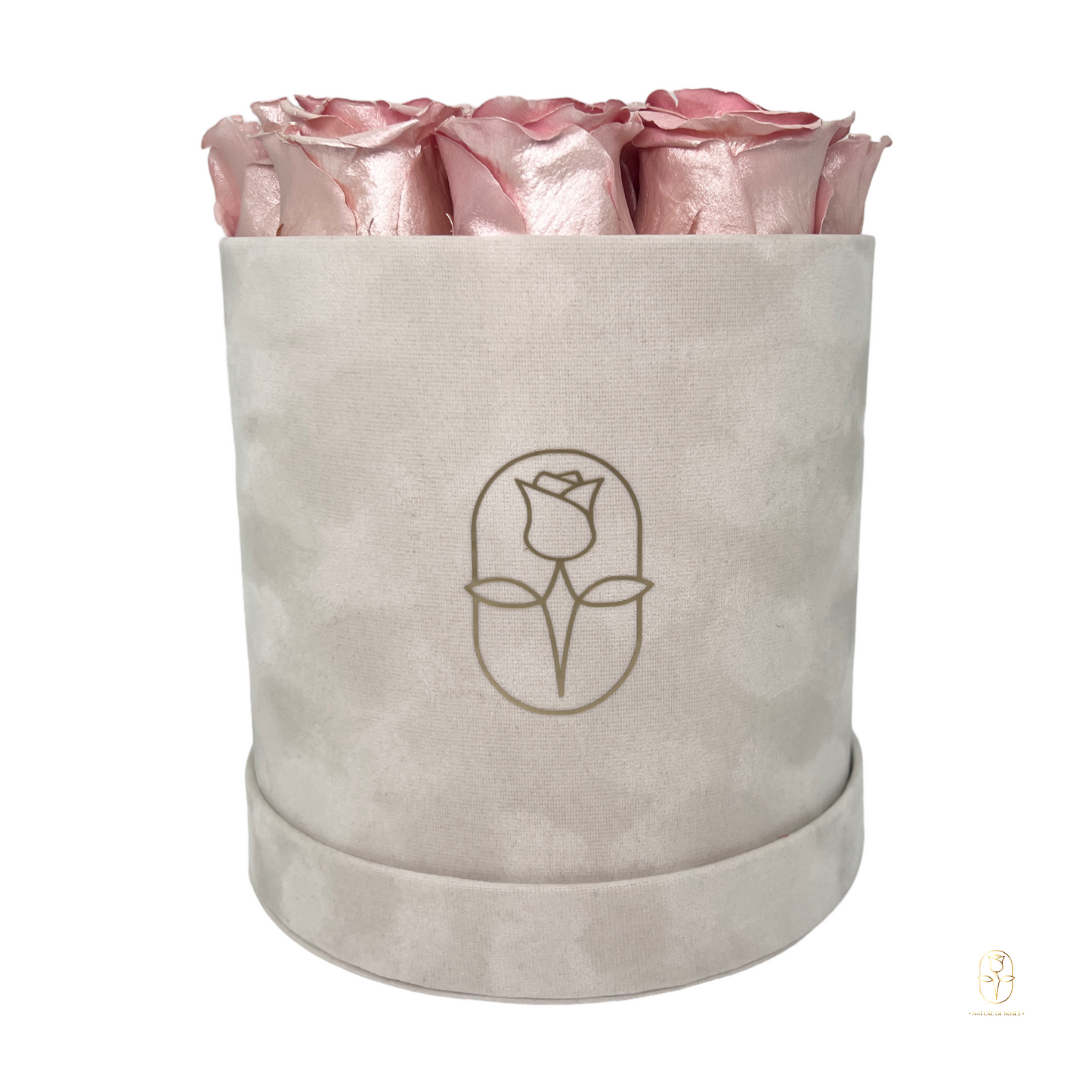 Velvet Round Rose Box Collection | Large
