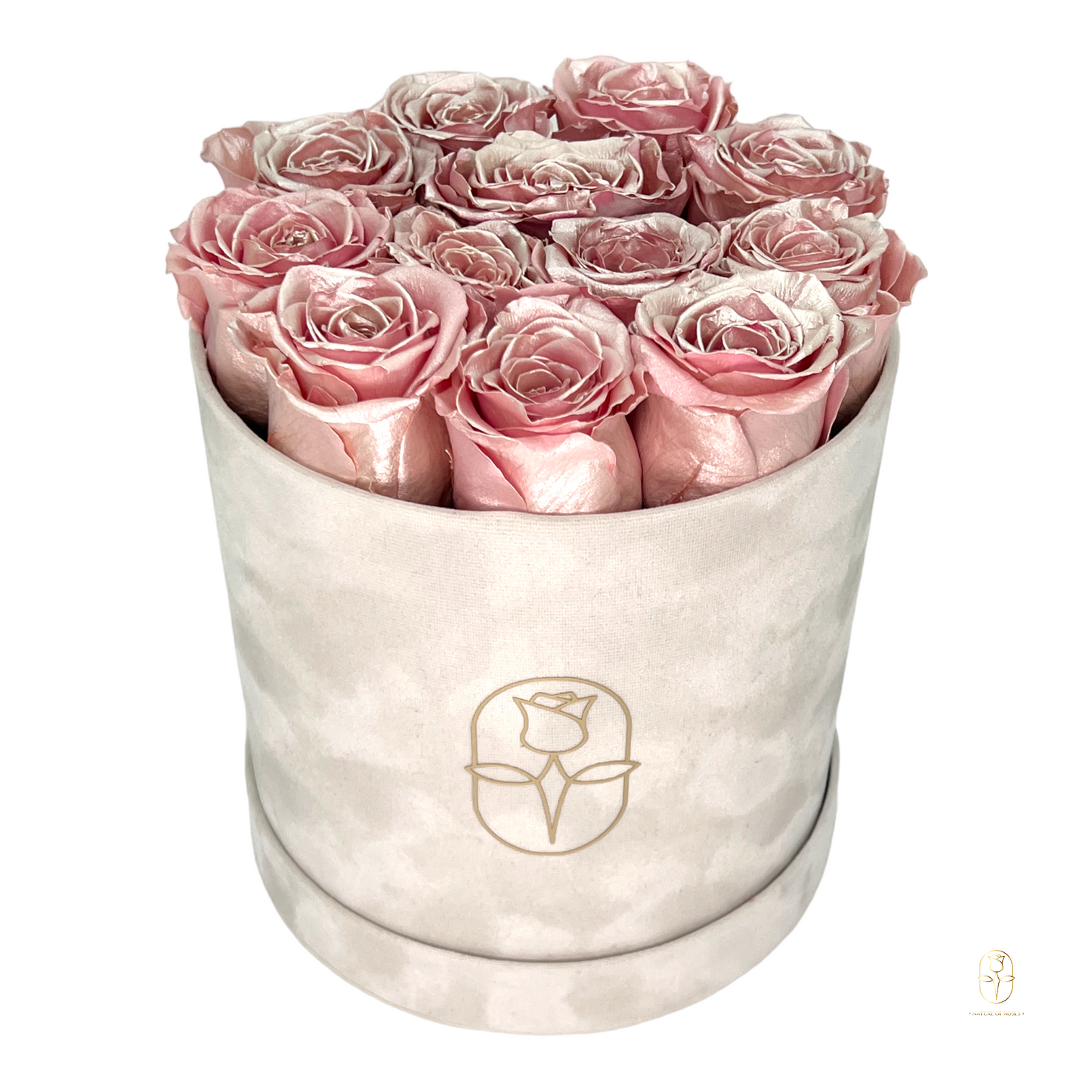 Velvet Round Rose Box Collection | Large