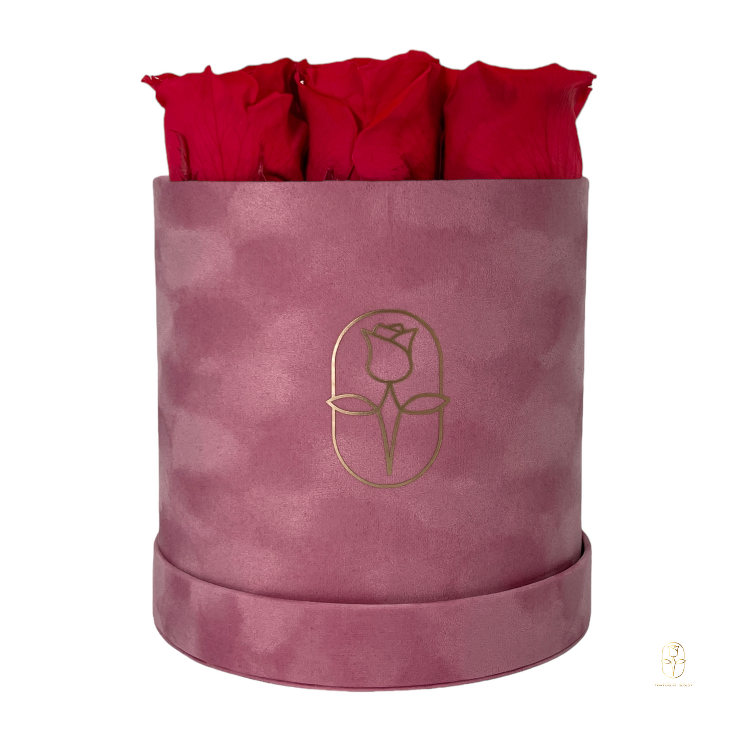Velvet Round Rose Box Collection | Large