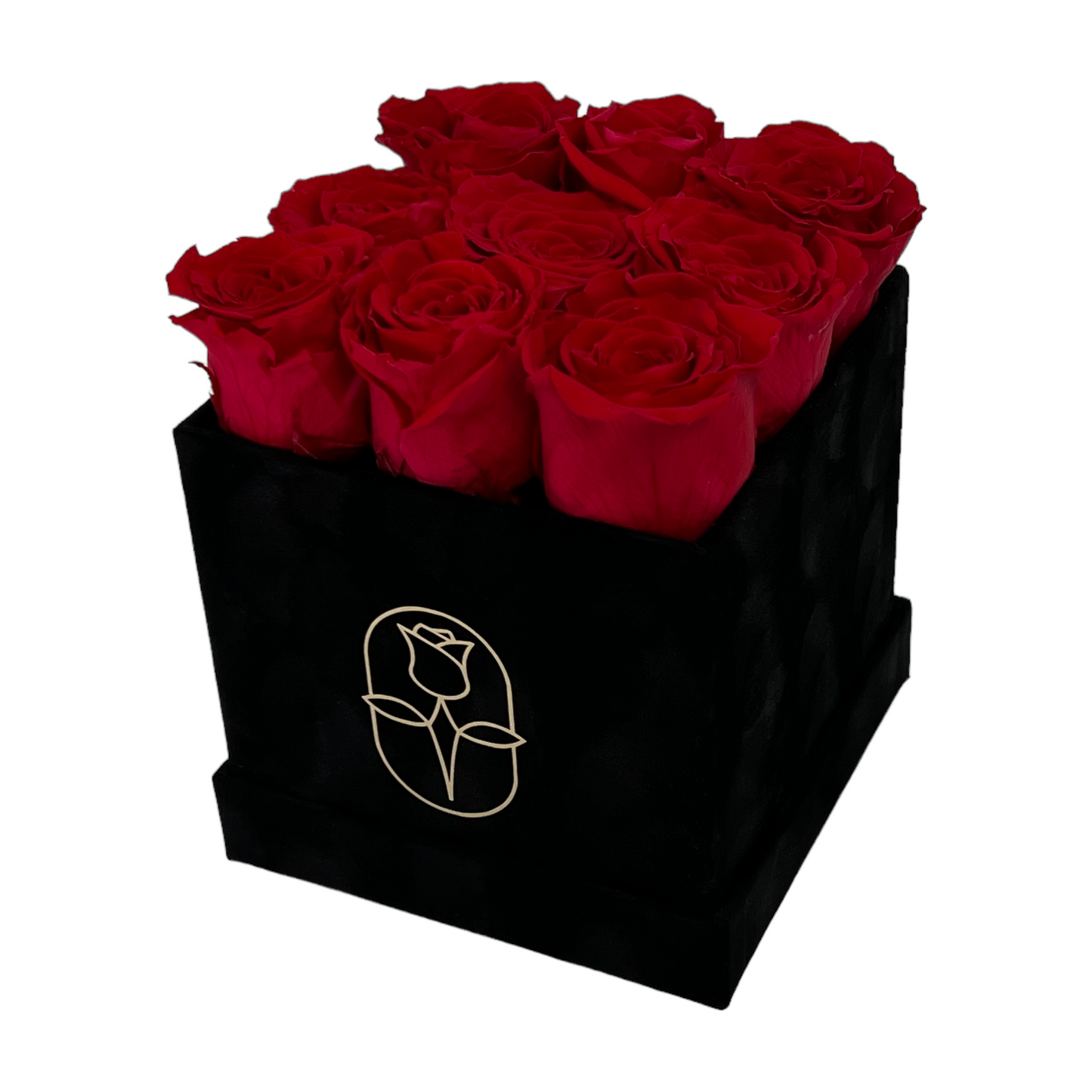 Velvet Square Rose Box Collection | 9