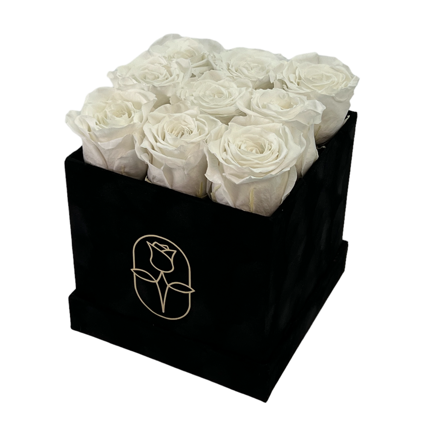 Velvet Square Rose Box Collection | 9