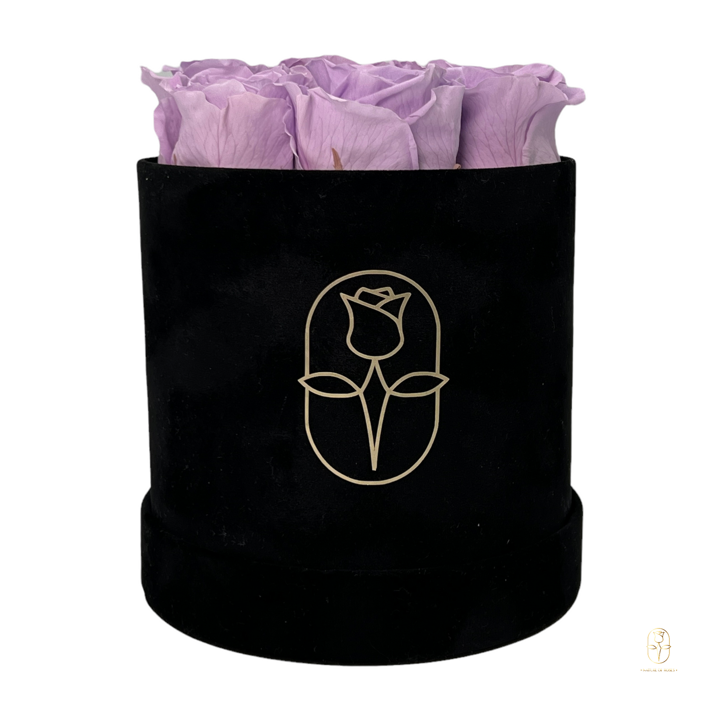 Velvet Round Rose Box Collection | Large