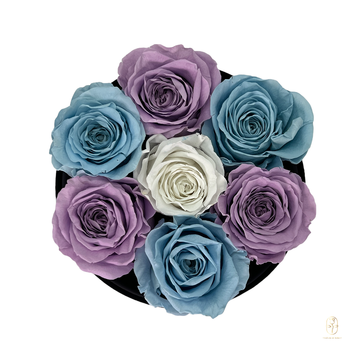 Terra Rose Box Collection | Small