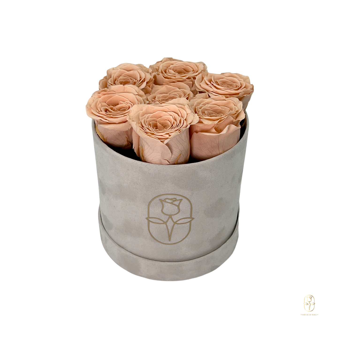 Velvet Round Eternal Rose Box Collection | Small