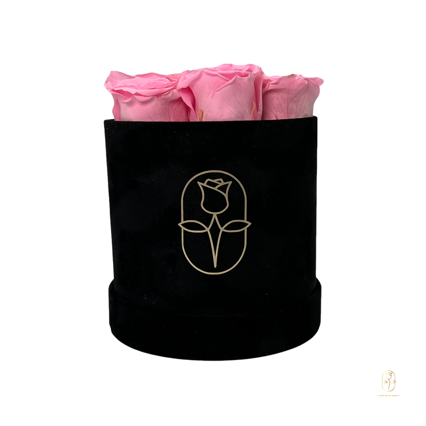 Velvet Round Eternal Rose Box Collection | Small