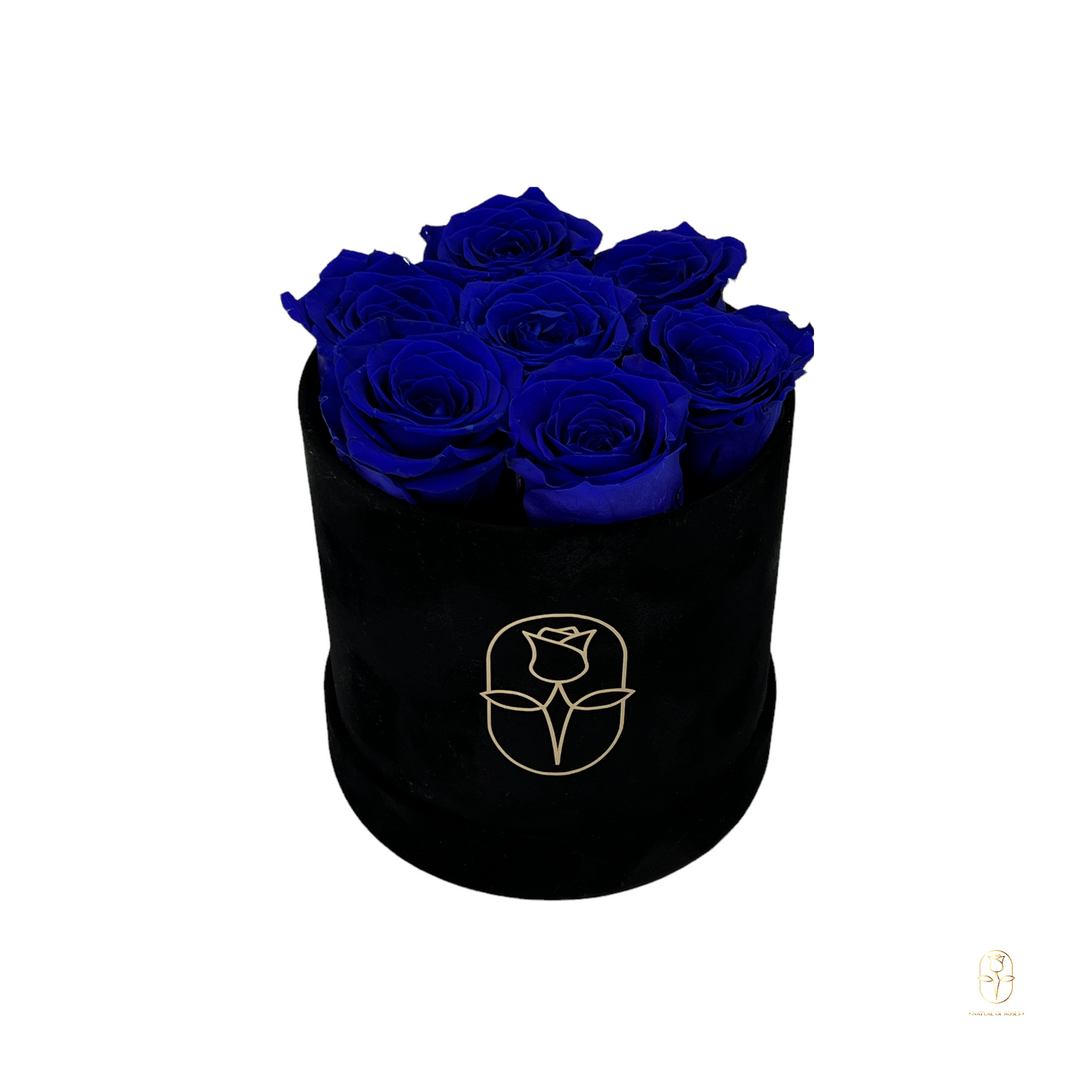 Velvet Round Eternal Rose Box Collection | Small