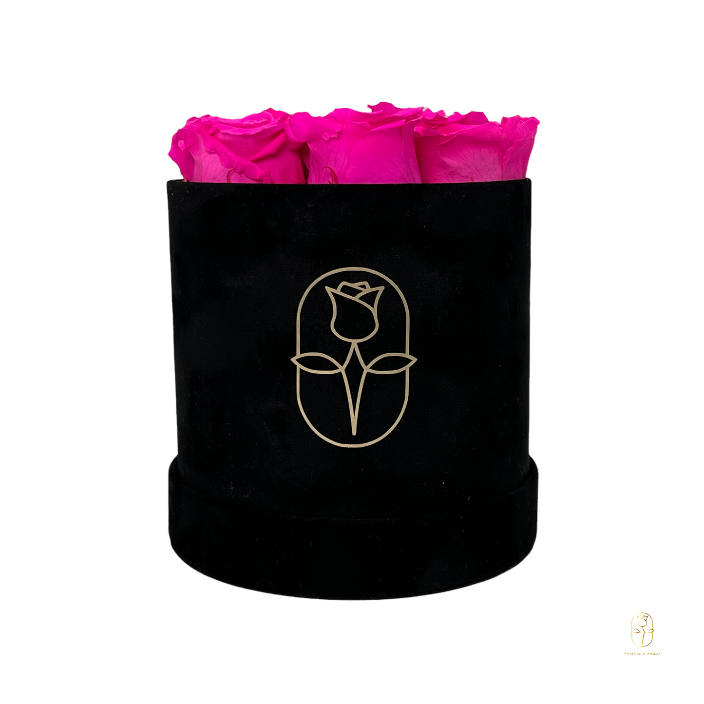 Velvet Round Eternal Rose Box Collection | Small