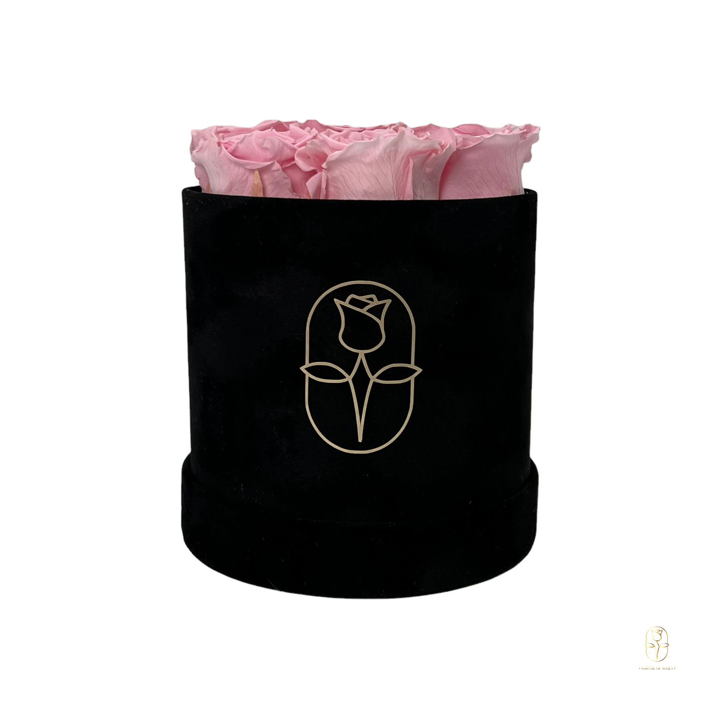 Velvet Round Eternal Rose Box Collection | Small