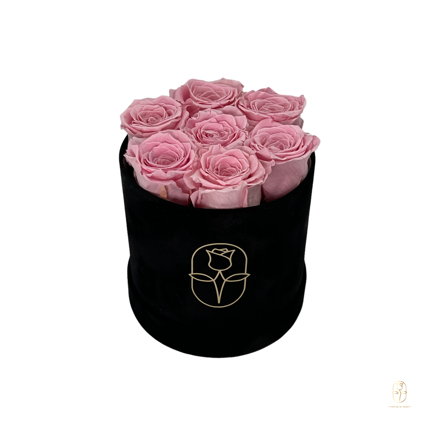 Velvet Round Eternal Rose Box Collection | Small