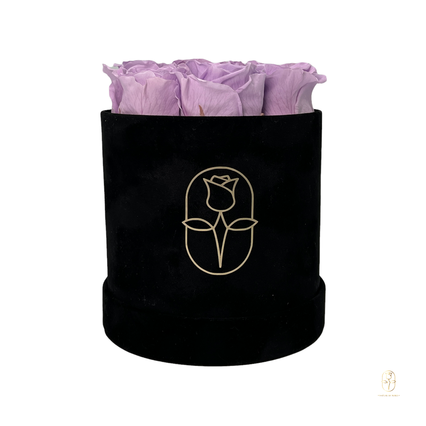 Velvet Round Eternal Rose Box Collection | Small