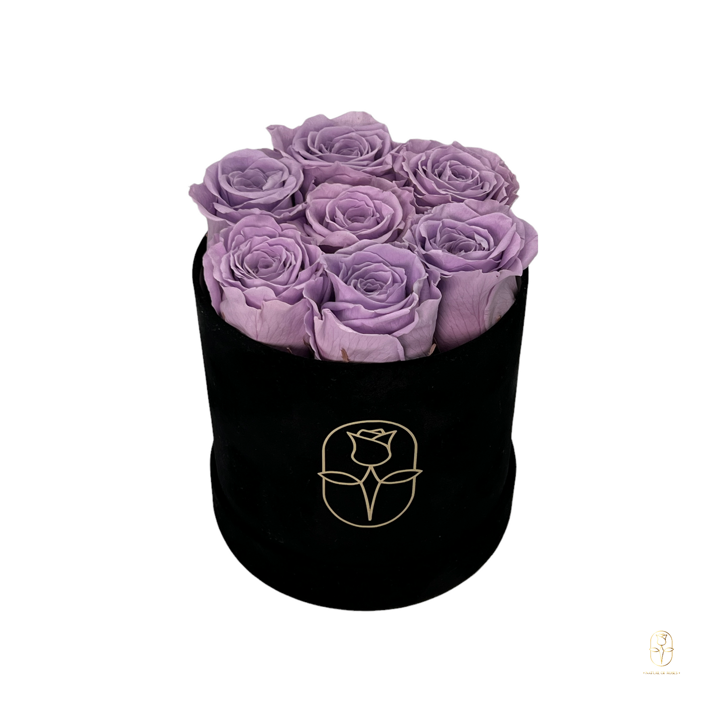 Velvet Round Eternal Rose Box Collection | Small