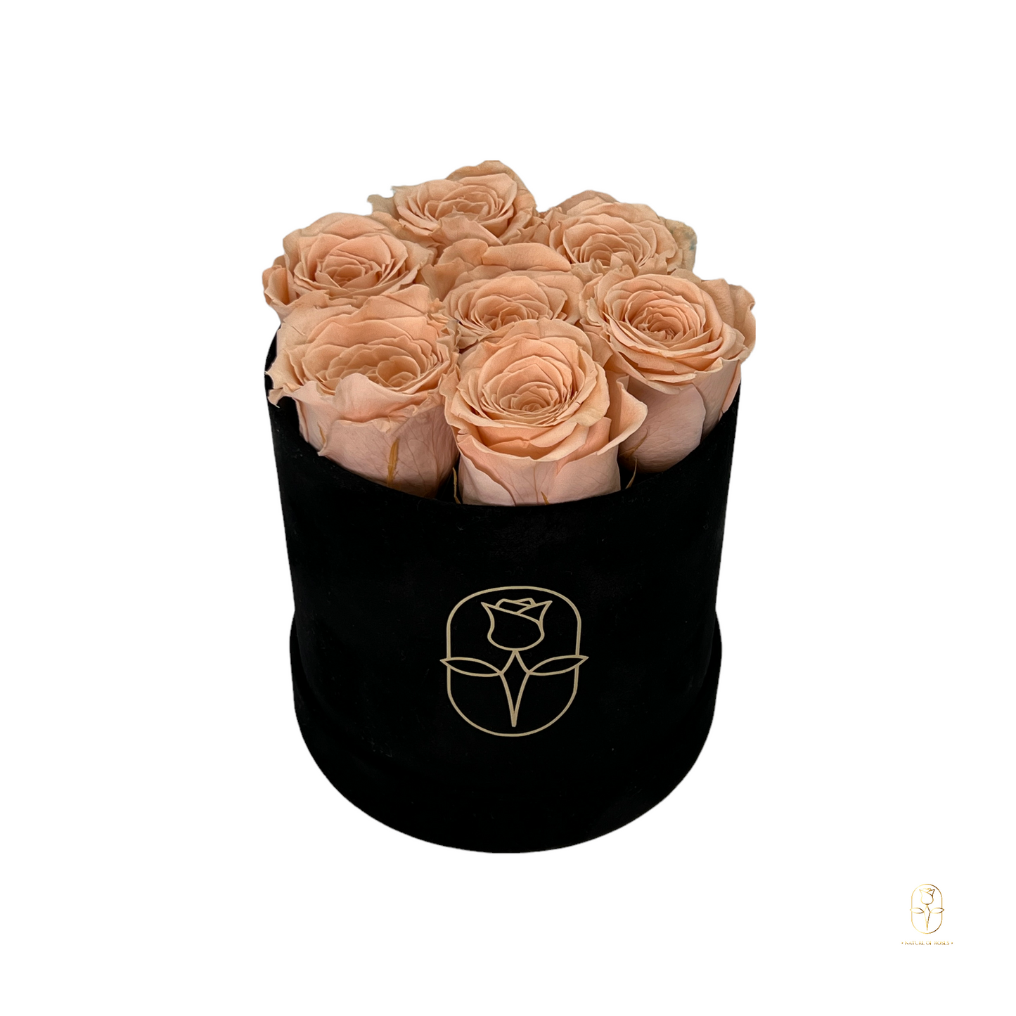 Velvet Round Eternal Rose Box Collection | Small