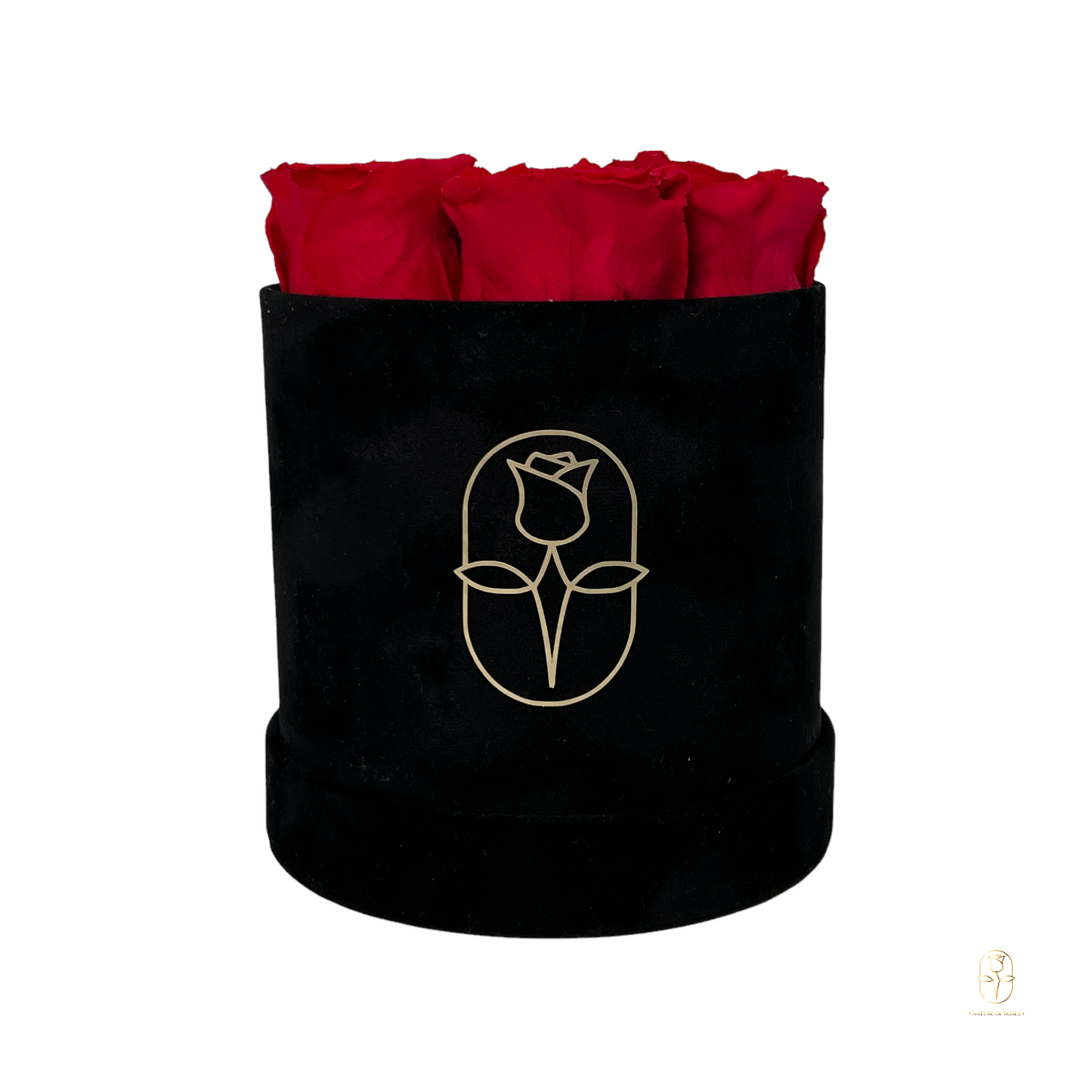 Velvet Round Eternal Rose Box Collection | Small