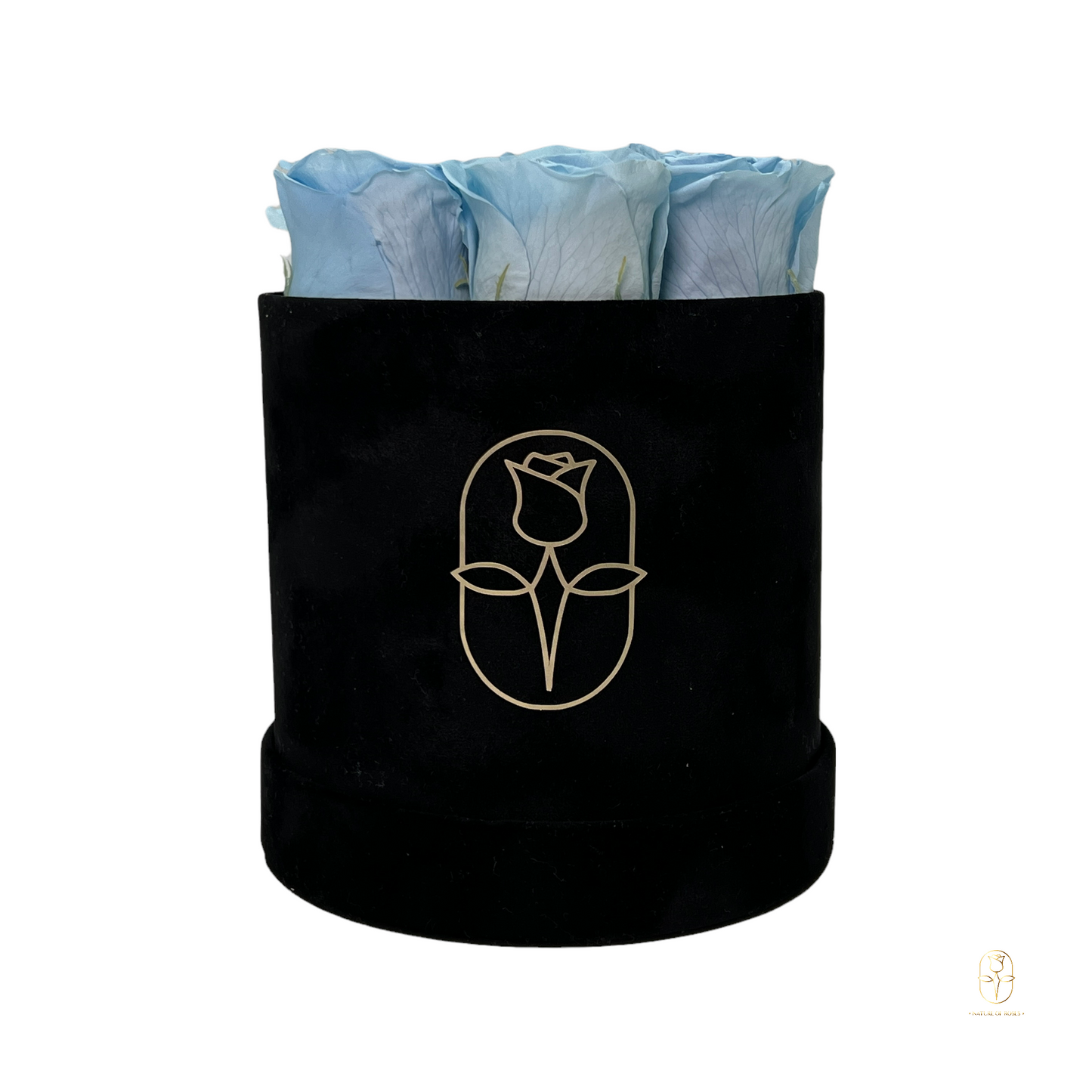 Velvet Round Eternal Rose Box Collection | Small