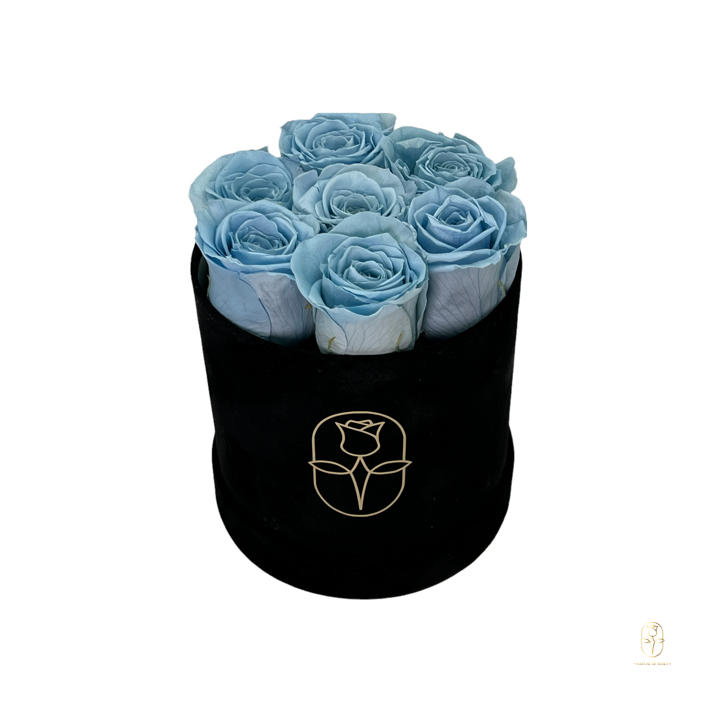 Velvet Round Eternal Rose Box Collection | Small