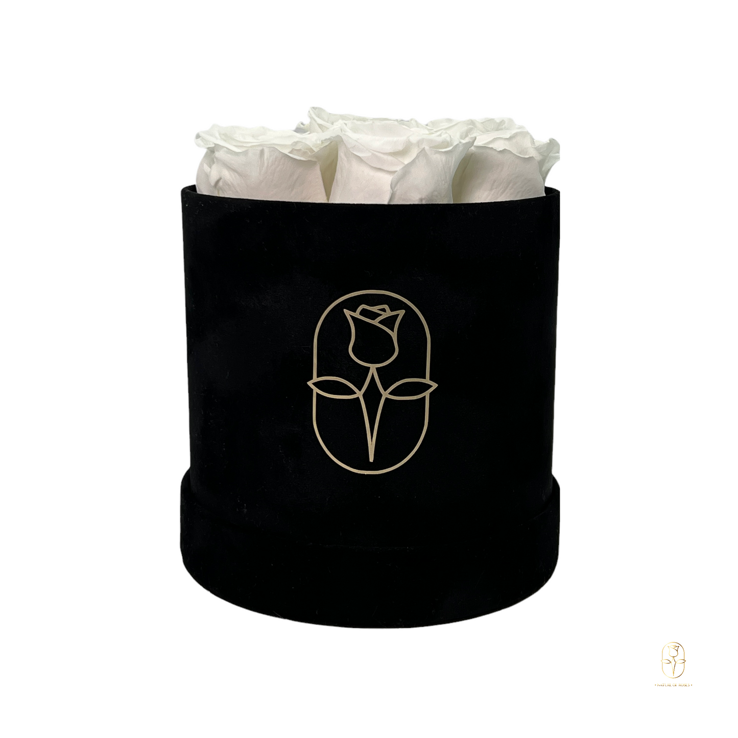 Velvet Round Eternal Rose Box Collection | Small