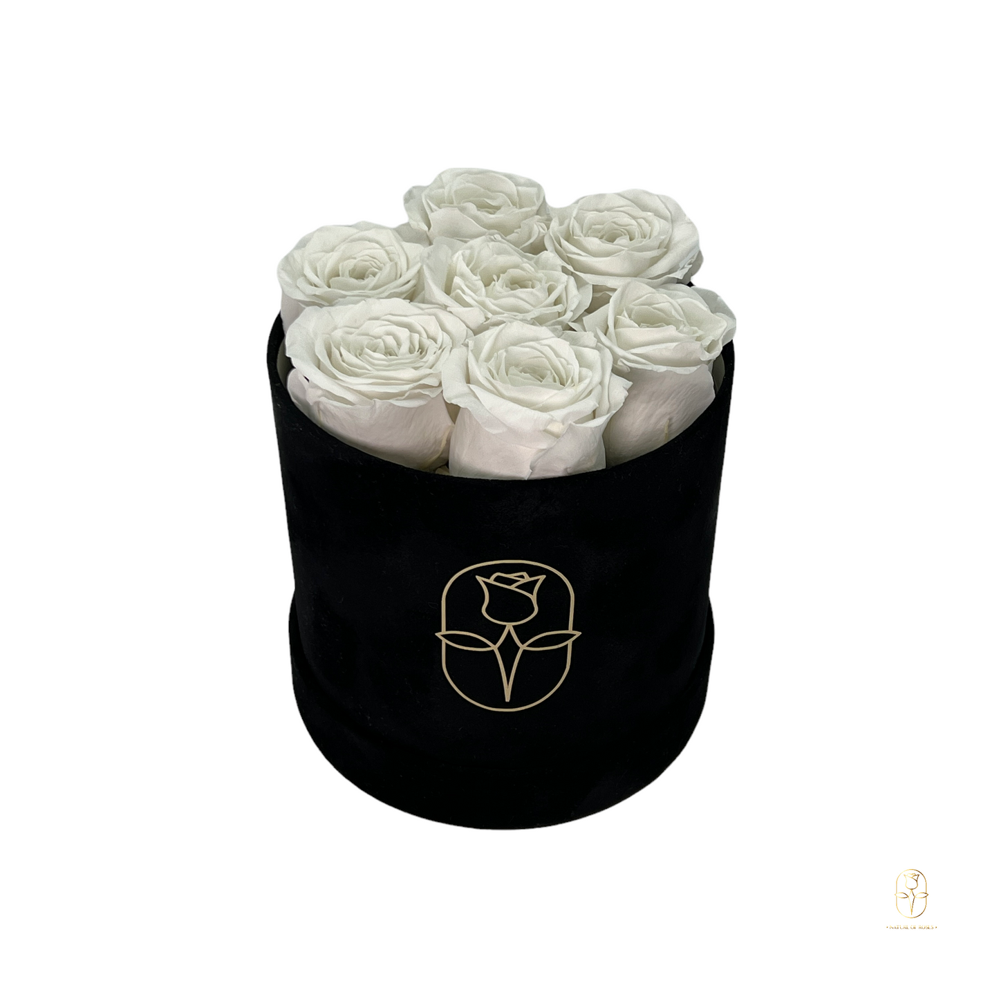 Velvet Round Eternal Rose Box Collection | Small