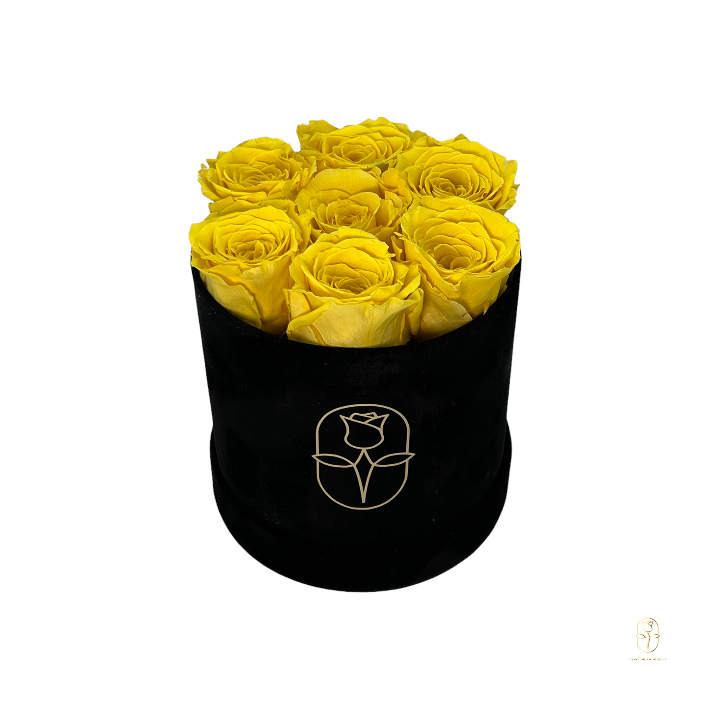 Velvet Round Eternal Rose Box Collection | Small