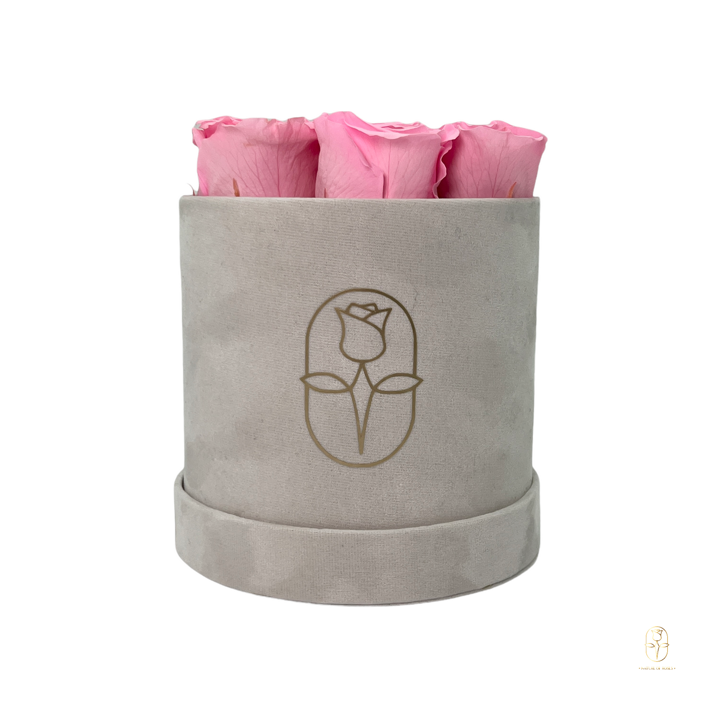 Velvet Round Eternal Rose Box Collection | Small