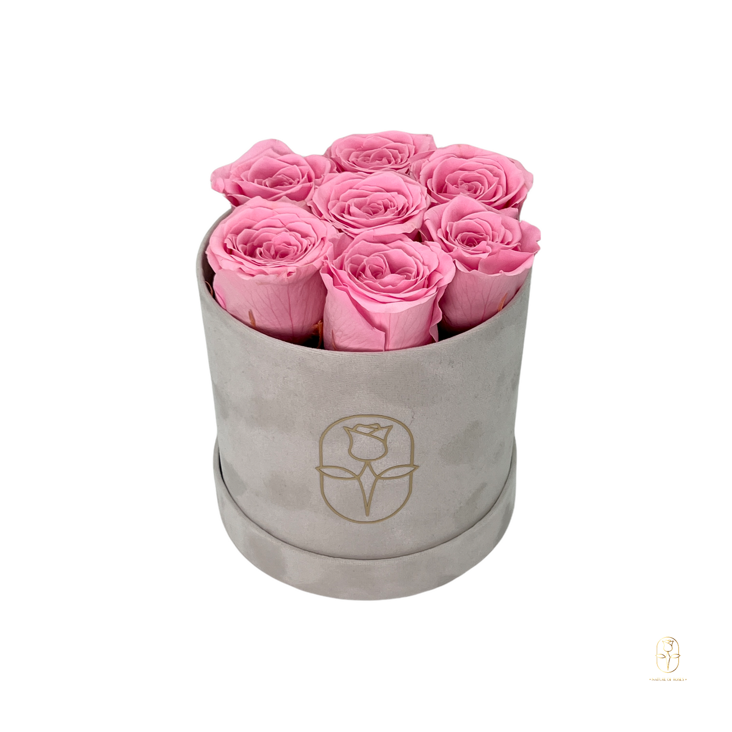 Velvet Round Eternal Rose Box Collection | Small