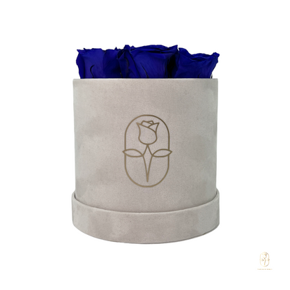 Velvet Round Eternal Rose Box Collection | Small