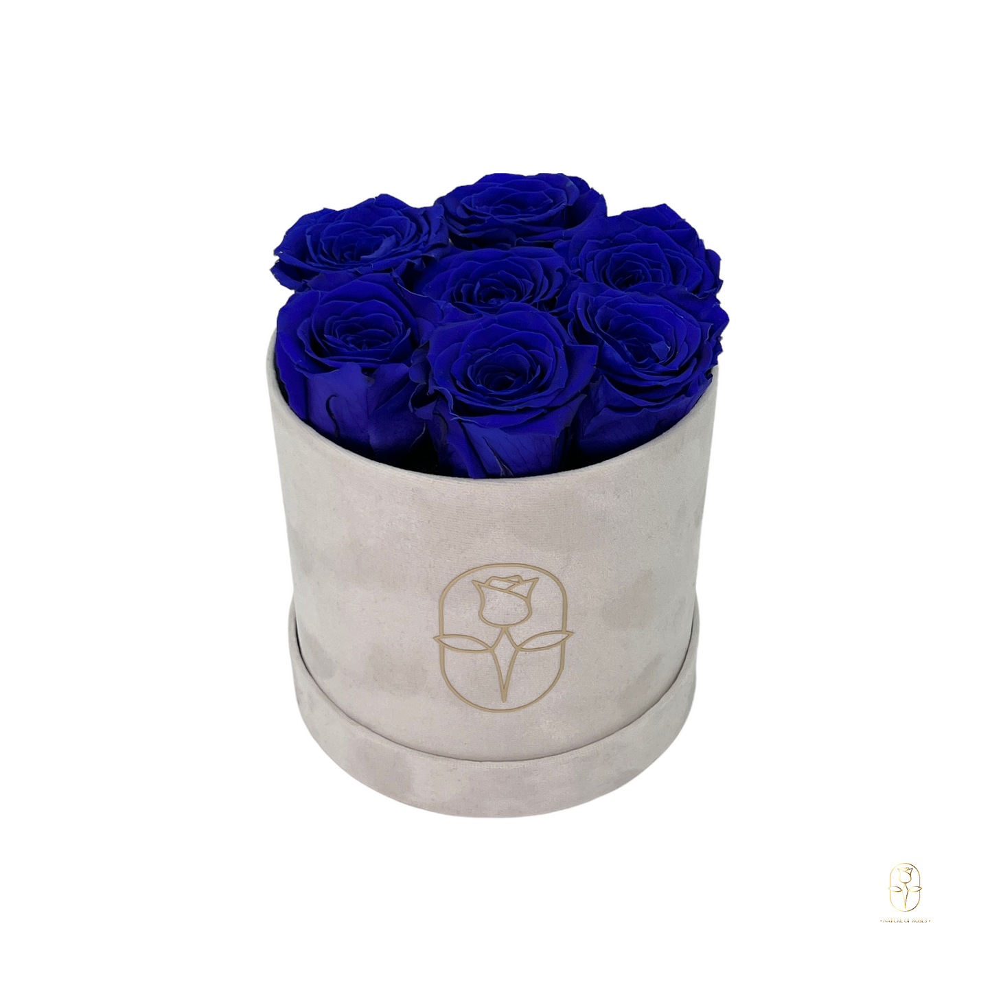 Velvet Round Eternal Rose Box Collection | Small