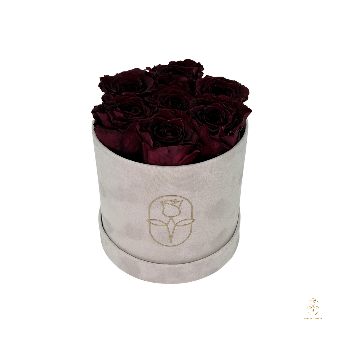 Velvet Round Eternal Rose Box Collection | Small