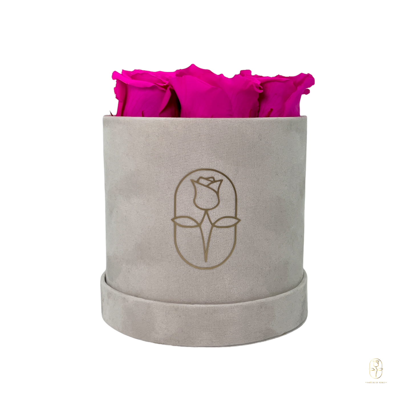 Velvet Round Eternal Rose Box Collection | Small