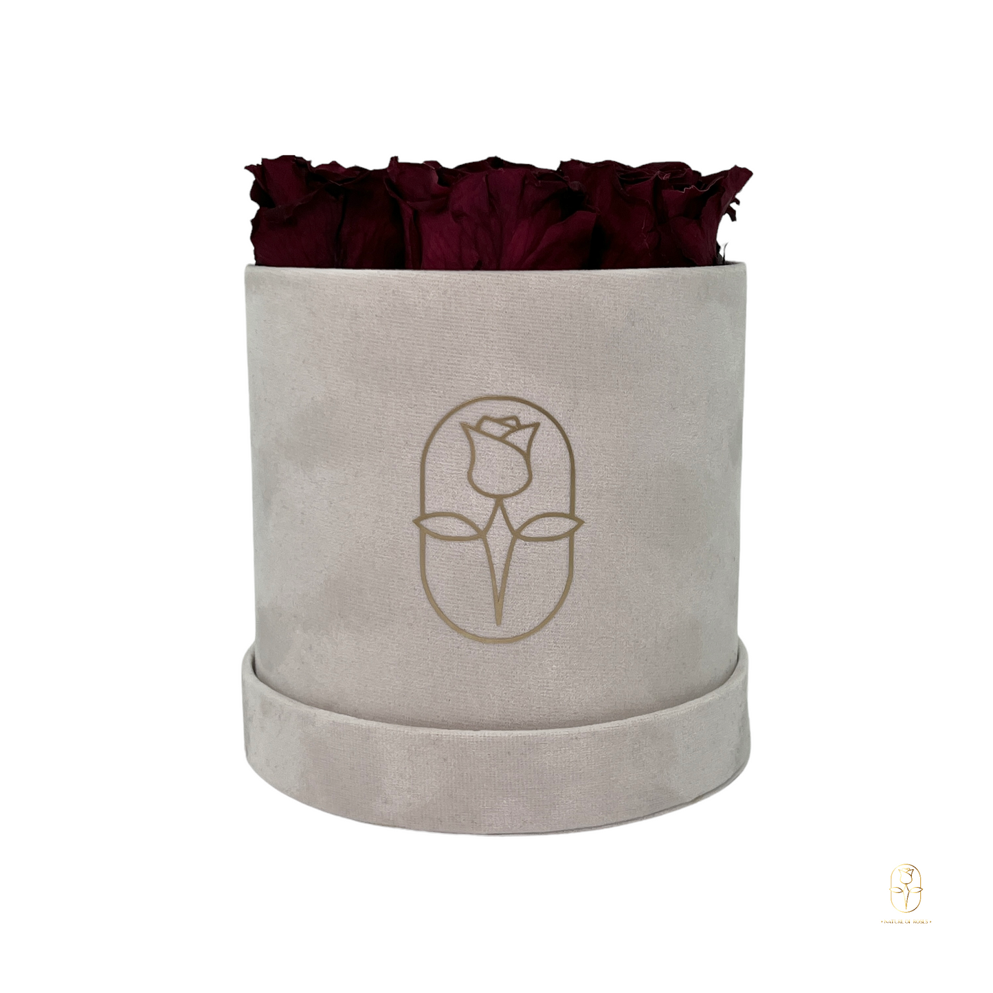 Velvet Round Eternal Rose Box Collection | Small