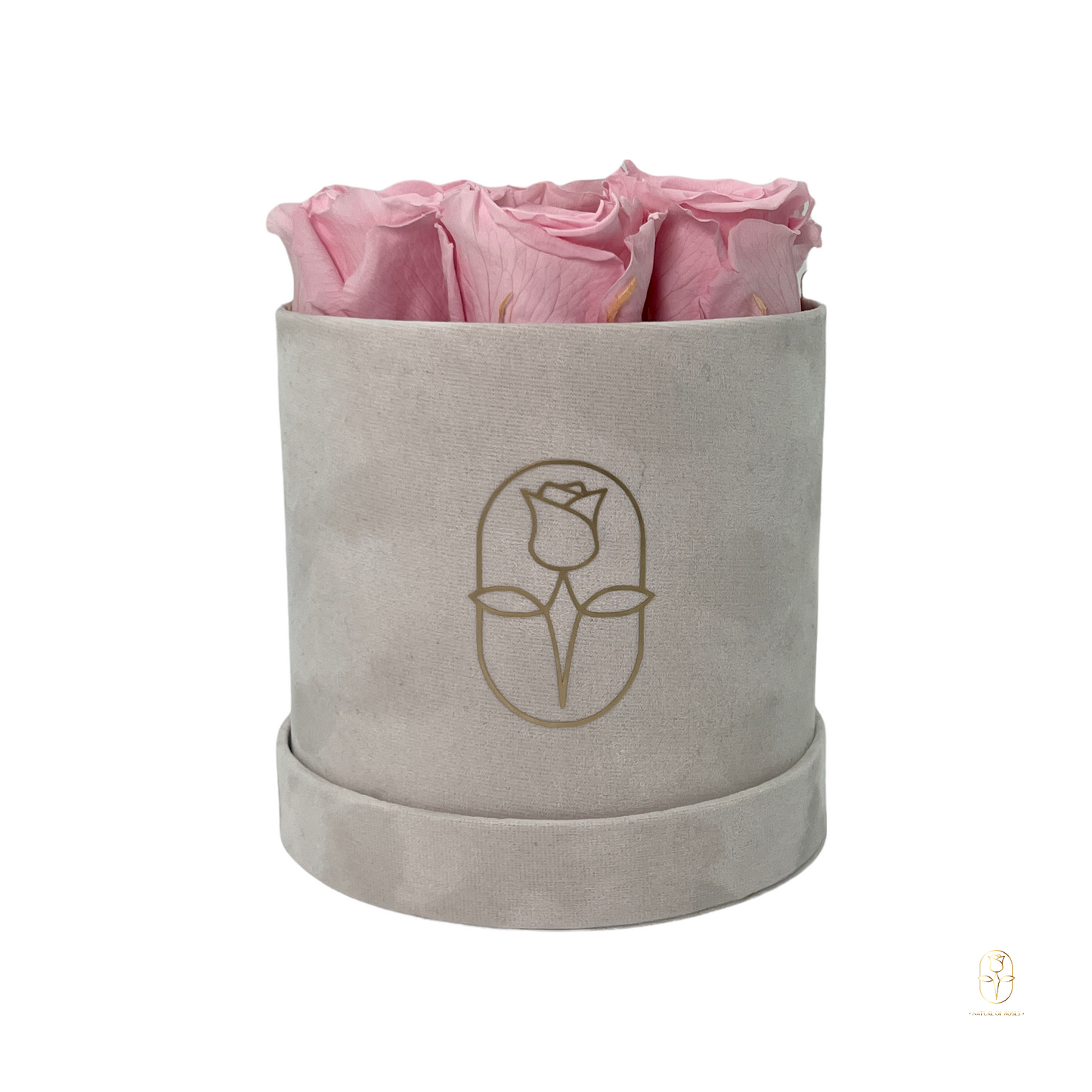 Velvet Round Eternal Rose Box Collection | Small