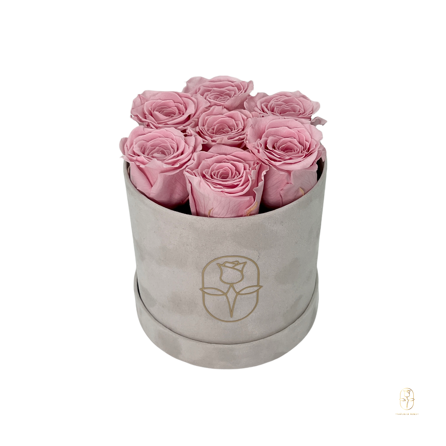 Velvet Round Eternal Rose Box Collection | Small