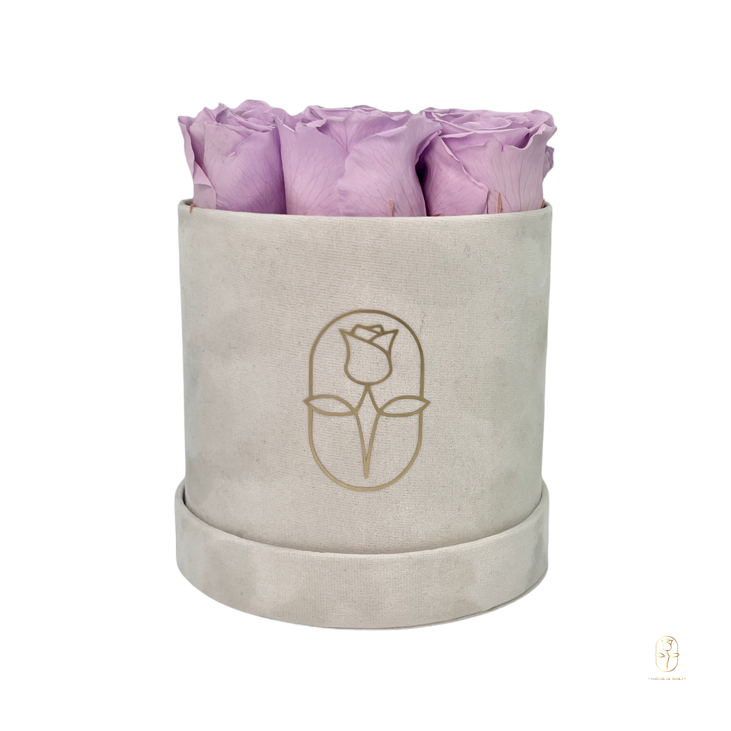 Velvet Round Eternal Rose Box Collection | Small