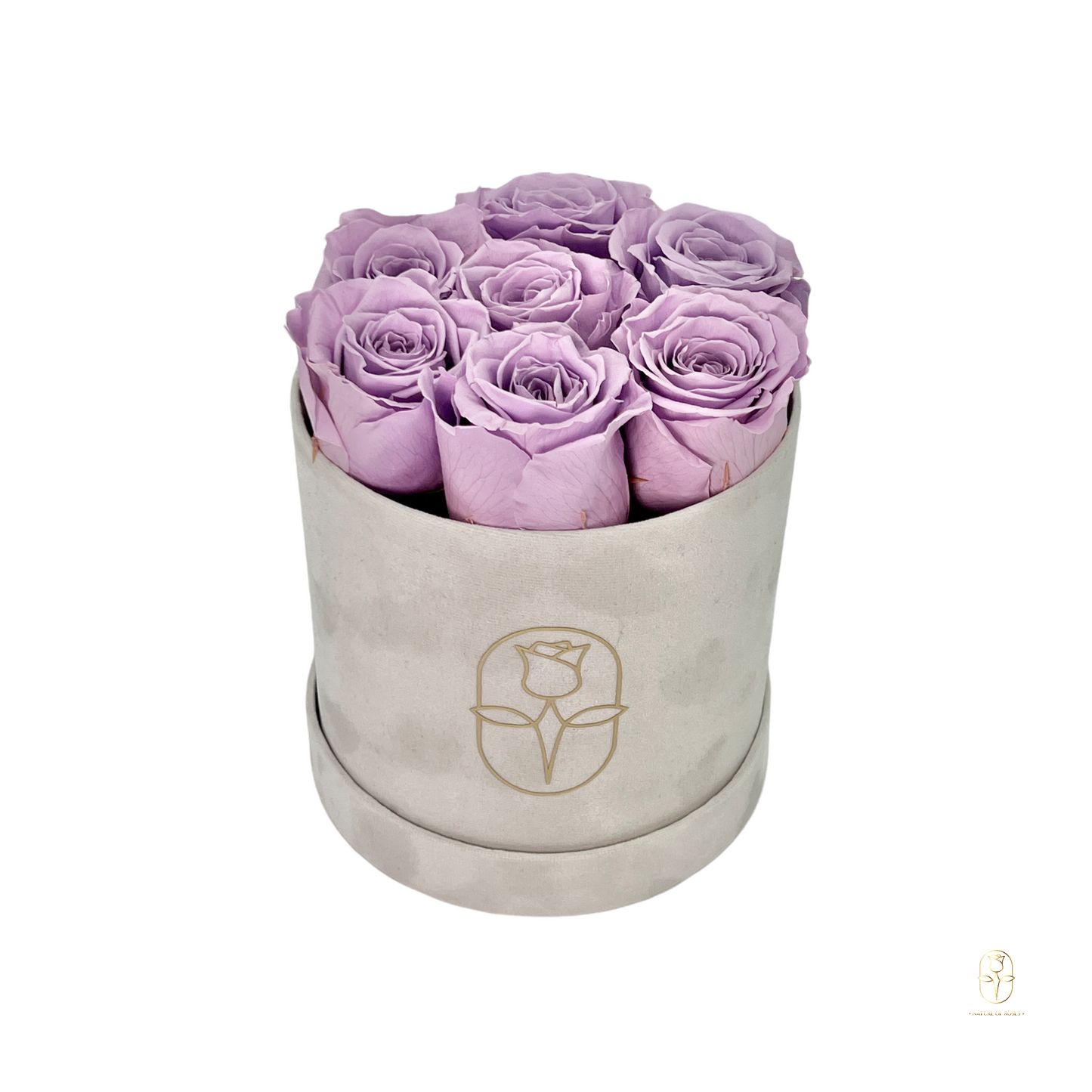 Velvet Round Eternal Rose Box Collection | Small