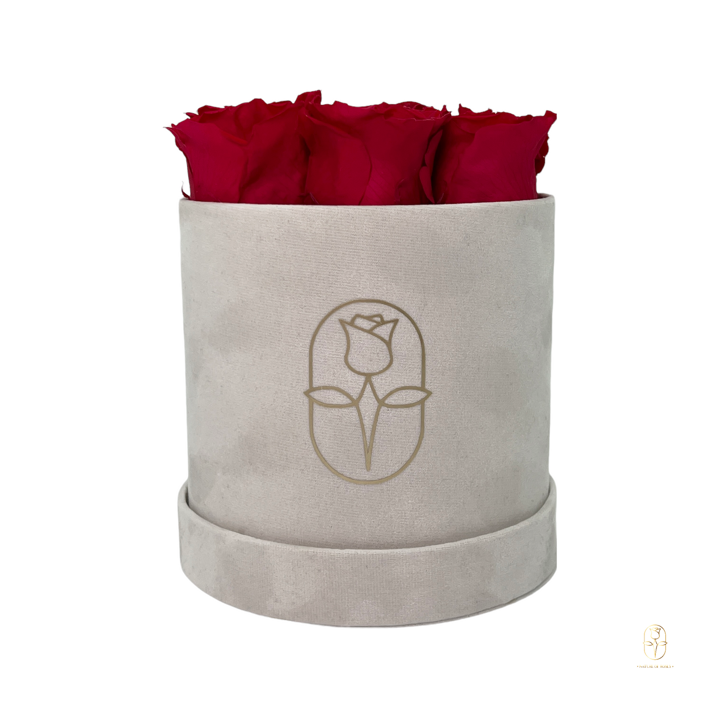 Velvet Round Eternal Rose Box Collection | Small